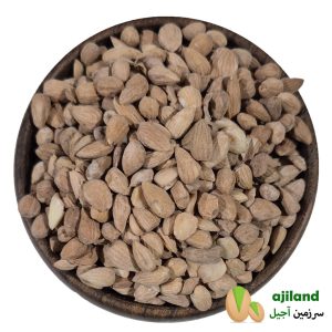 مغز بادام کوهی